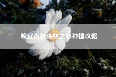 晚安森林森林之心种植攻略