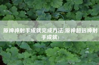 原神神射手成就完成方法(原神超远神射手成就)