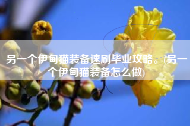 另一个伊甸猫装备速刷毕业攻略。(另一个伊甸猫装备怎么做)