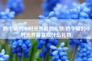 奶牛镇的小时光乔馨的礼物(奶牛镇的小时光乔馨喜欢什么礼物)