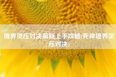 境界灵压对决萌新上手攻略(死神境界灵压对决)