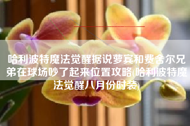 哈利波特魔法觉醒据说萝宾和费舍尔兄弟在球场吵了起来位置攻略(哈利波特魔法觉醒八月份时装)