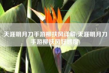 天涯明月刀手游柳扶风详解(天涯明月刀手游柳扶风好感度)