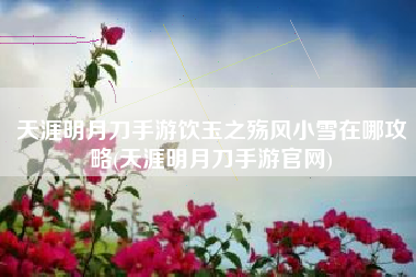 天涯明月刀手游饮玉之殇风小雪在哪攻略(天涯明月刀手游官网)