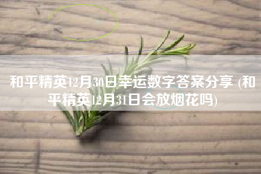 和平精英12月30日幸运数字答案分享 (和平精英12月31日会放烟花吗)