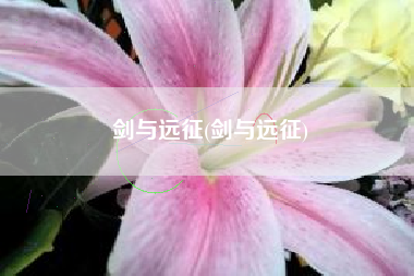 剑与远征(剑与远征)