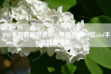 DNF手游韩服世界BOSS开放时间一览(dnf手游韩服充值)