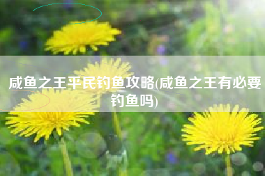 咸鱼之王平民钓鱼攻略(咸鱼之王有必要钓鱼吗)