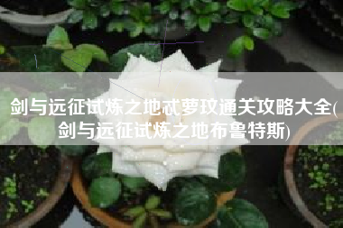 剑与远征试炼之地忒萝玟通关攻略大全(剑与远征试炼之地布鲁特斯)