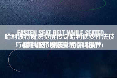 哈利波特魔法觉醒传奇哈利低费打法技巧(哈利波特魔法觉醒卡组推荐)