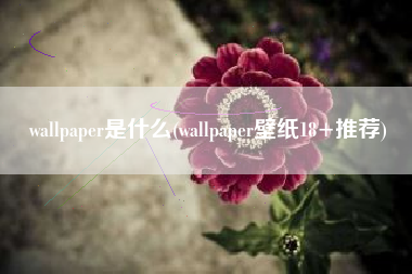 wallpaper是什么(wallpaper壁纸18+推荐)