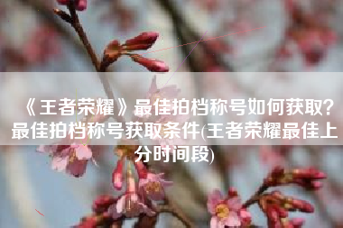 《王者荣耀》最佳拍档称号如何获取？最佳拍档称号获取条件(王者荣耀最佳上分时间段)