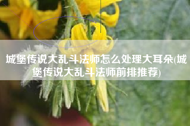 城堡传说大乱斗法师怎么处理大耳朵(城堡传说大乱斗法师前排推荐)