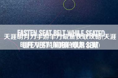 天涯明月刀手游羊方藏鱼获取攻略(天涯明月刀手游羊肉泡馍怎么做)
