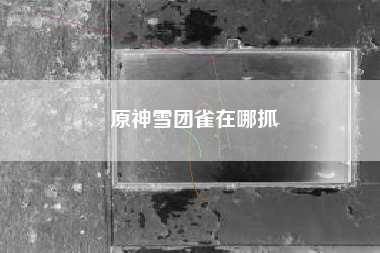 原神雪团雀在哪抓