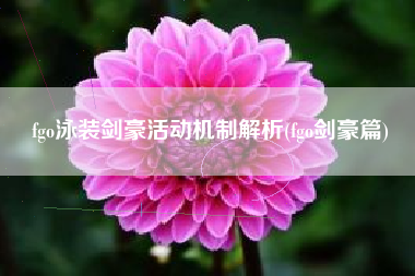 fgo泳装剑豪活动机制解析(fgo剑豪篇)