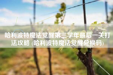 哈利波特魔法觉醒第三学年最后一关打法攻略 (哈利波特魔法觉醒兑换码)
