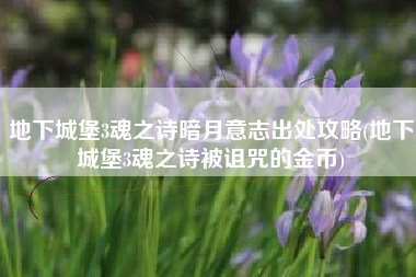 地下城堡3魂之诗暗月意志出处攻略(地下城堡3魂之诗被诅咒的金币)
