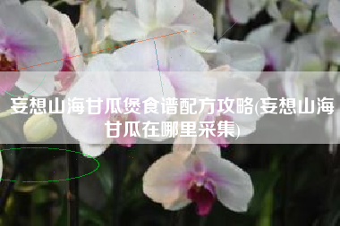 妄想山海甘瓜煲食谱配方攻略(妄想山海甘瓜在哪里采集)