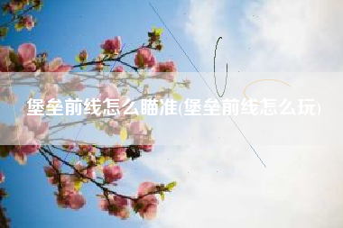 堡垒前线怎么瞄准(堡垒前线怎么玩)