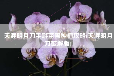 天涯明月刀手游苗圃种植攻略(天涯明月刀破解版)