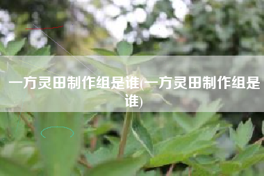 一方灵田制作组是谁(一方灵田制作组是谁)
