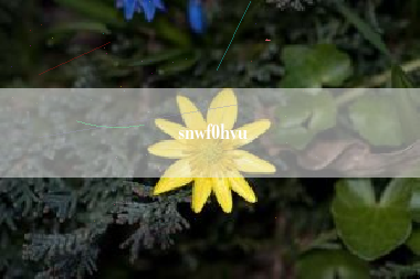 snwf0hvu
