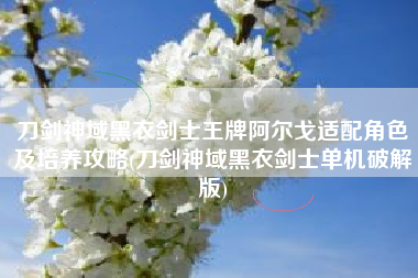 刀剑神域黑衣剑士王牌阿尔戈适配角色及培养攻略(刀剑神域黑衣剑士单机破解版)