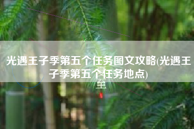 光遇王子季第五个任务图文攻略(光遇王子季第五个任务地点)