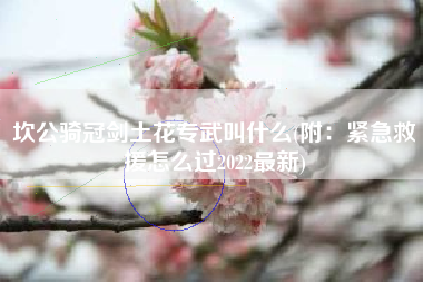 坎公骑冠剑土花专武叫什么(附：紧急救援怎么过2022最新)