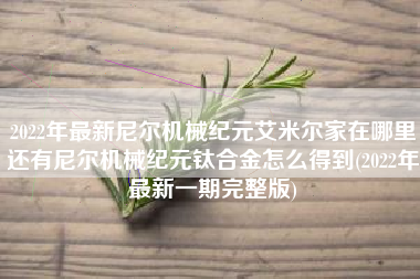 2022年最新尼尔机械纪元艾米尔家在哪里还有尼尔机械纪元钛合金怎么得到(2022年最新一期完整版)
