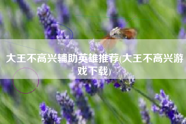 大王不高兴辅助英雄推荐(大王不高兴游戏下载)