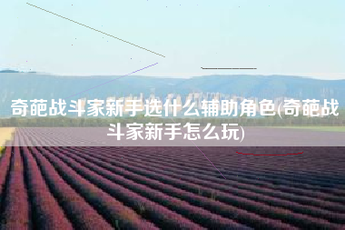 奇葩战斗家新手选什么辅助角色(奇葩战斗家新手怎么玩)