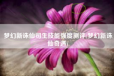 梦幻新诛仙司生技能强度测评(梦幻新诛仙奇遇)