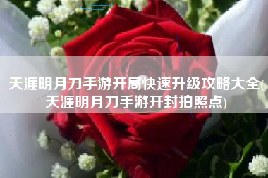 天涯明月刀手游开局快速升级攻略大全(天涯明月刀手游开封拍照点)