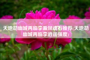 天地劫幽城再临李盈凤魂石推荐(天地劫幽城再临李逍遥强度)