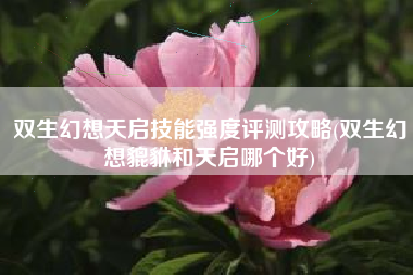 双生幻想天启技能强度评测攻略(双生幻想貔貅和天启哪个好) 双生幻想天启技能强度评测攻略(双生幻想貔貅和天启哪个好)