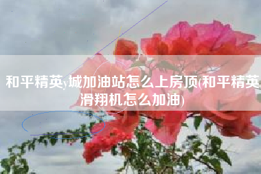和平精英y城加油站怎么上房顶(和平精英滑翔机怎么加油)