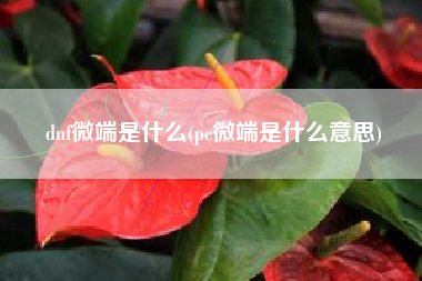 dnf微端是什么(pc微端是什么意思)