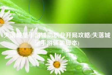 失落城堡手游辅助职业开局攻略(失落城堡手游辅助脚本)