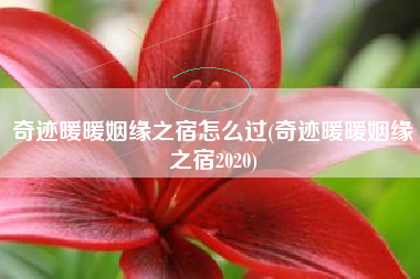 奇迹暖暖姻缘之宿怎么过(奇迹暖暖姻缘之宿2020)