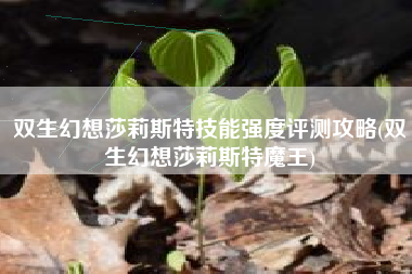双生幻想莎莉斯特技能强度评测攻略(双生幻想莎莉斯特魔王)