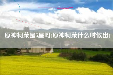 原神柯莱是5星吗(原神柯莱什么时候出)