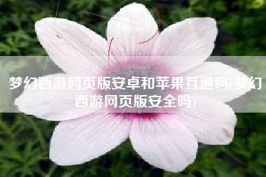 梦幻西游网页版安卓和苹果互通吗(梦幻西游网页版安全吗)