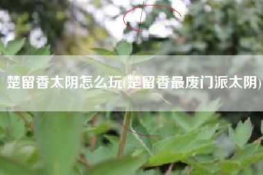 楚留香太阴怎么玩(楚留香最废门派太阴)