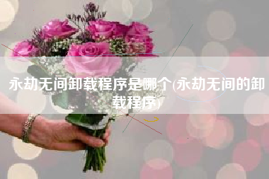 永劫无间卸载程序是哪个(永劫无间的卸载程序)（永劫无间卸载程序在哪）