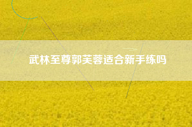 武林至尊郭芙蓉适合新手练吗（郭芙蓉练的什么武功）