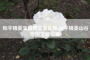 和平精英宝箱藏宝室在哪(和平精英山谷地图宝箱位置)