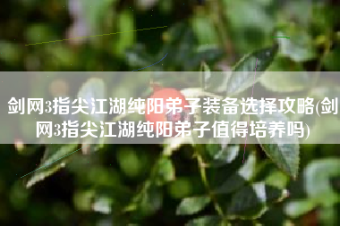 剑网3指尖江湖纯阳弟子装备选择攻略(剑网3指尖江湖纯阳弟子值得培养吗)