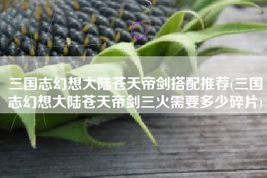 三国志幻想大陆苍天帝剑搭配推荐(三国志幻想大陆苍天帝剑三火需要多少碎片)